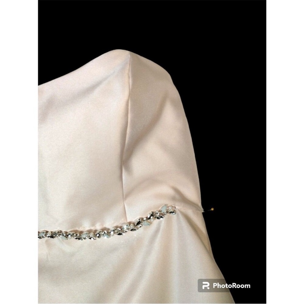 Alfred Sung Style D748 Size 18 Blush Strapless Lined Satin Zip Back Pockets - Picture 4 of 11
